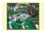 A Paddling of Peking Ducks Prints by Richard Kelly