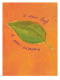 A New Leaf Prints by Flavia Weedn