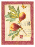 Vintage Botanical Garden Print Posters by Bessie Pease Gutmann