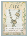 Life Affiches