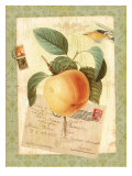 Vintage Botanical Garden Print Prints by Bessie Pease Gutmann