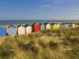 Brightly Painted Beach Huts, Rear View, in Afternoon Sunshine Below Gun Hill, Suffolk, England Photographic Print by Neale Clark