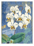 Vintage Botanica Flower Print Prints by Bessie Pease Gutmann