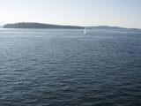 Sailboat on the Puget Sound Passes Blake Island, Washington State, United States of America Photographic Print by Aaron McCoy