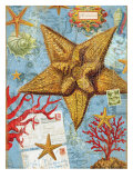 Vintage Botanical Starfish Print Prints by Bessie Pease Gutmann