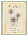 Wishes Poster Wishes Poster