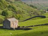 Typical Stone Barns Near Keld in Swaledale, Yorkshire Dales National Park, Yorkshire, England Photographic Print by John Woodworth