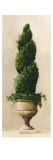 Topiario romano I Lámina giclée por Welby Topiario romano I Lámina giclée por Welby