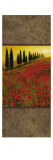 Poppy Field Panel II Reproduction procédé giclée par Steve Thoms