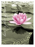 Love Lilly Posters Love Lilly Posters