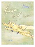 Carpe Diem Posters by Flavia Weedn