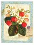 Vintage Botanical Garden Print Prints by Bessie Pease Gutmann