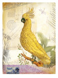 Vintage Botanical Cockatoo Print Poster by Bessie Pease Gutmann