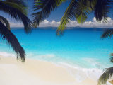 Empty Beach and Palms Trees, Seychelles, Indian Ocean, Africa Photographic Print by Sakis Papadopoulos