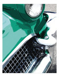 Tail Fins And Two Tones III Lámina giclée por Mike Patrick Tail Fins And Two Tones III Lámina giclée por Mike Patrick