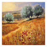 A Peaceful Path Lámina giclée por Steve Thoms