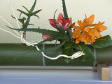 Japanese Flower Arranging (Ikebana) also Called the Way of Flowers (Kado), Japan Photographic Print