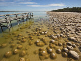 Thrombolites, Microbialite That Produce Oxygen and Deposit Calcium Carbonate, Western Australia Photographic Print by Robert Francis