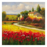 Un verano toscano Lámina giclée por Ben Harris Un verano toscano Lámina giclée por Ben Harris