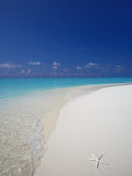 Starfish on Beach, Male Atoll, Maldives, Indian Ocean Photographic Print by Sakis Papadopoulos