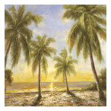 Caribbean Waters Giclee Print by Paulsen 
