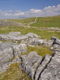 Limestone Pavement and Dry Stone Wall Above Settle, Yorkshire Dales National Park, England Photographic Print by Neale Clark