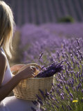 Woman in a Lavender Field, Provence, France, Europe Photographie par Angelo Cavalli