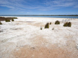 Salt and Algal Deposits at Lake Clifton, Yalgorup National Park, Mandurah, Western Australia Photographic Print by Robert Francis