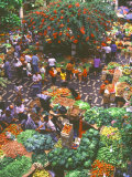 View over Fruit and Vegetable Market, Funchal, Madeira, Portugal, Europe Photographic Print by Sakis Papadopoulos