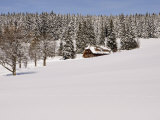 Black Forest in Winter, Near Schoenwald, Baden-Wurttemberg, Germany, Europe Lámina fotográfica por Jochen Schlenker