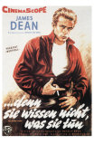 Rebel Without a Cause, German Movie Poster, 1955 Kuvia