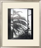 The Palm Tree Posters by Henri Matisse