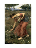 Narcissus, 1912 Giclée-tryk af John William Waterhouse Narcissus, 1912 Giclée-tryk af John William Waterhouse