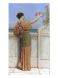A Choice Blossom, 1918 Giclee Print by John William Godward A Choice Blossom, 1918 Giclee Print by John William Godward