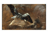 Study of a Heron (Verso) Giclee Print by John Constable
