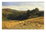 A Surrey Cornfield, 1860 Giclee Print by George Vicat Cole