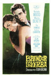 Splendor in the Grass, Spanish Movie Poster, 1961 Kunstdrucke