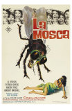 The Fly, Spanish Movie Poster, 1958 Poster