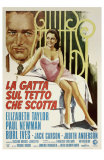 Cat On a Hot Tin Roof, Italian Movie Poster, 1958 Prints