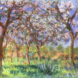 Printemps a Giverny, 1900 Giclee Print by Claude Monet