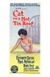 Cat On a Hot Tin Roof, 1958 Photo