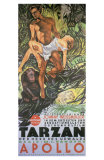 Tarzan The Ape Man, German Movie Poster, 1932 Posters
