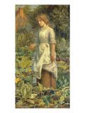 Of Herbs, and Other Country Messes, Which the Neat-Handed Phyllis Dresses Giclee Print by A. Hughes