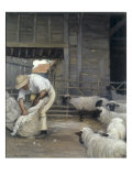 Sheepshearing Giclee Print by Alexander Mann