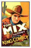 King Cowboy, 1928 Posters