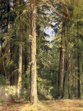 Forest, 1892 Giclee Print by Ivan Ivanovich Shishkin