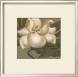 Spring Magnolia I Posters by Cooper 
