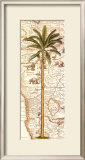 Palmera africana I Lámina por Debra Lake