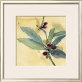 Olivier I Prints by Marthe 