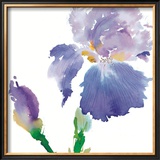 Iris Prints by Summer Thornton